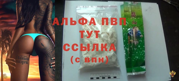 сатива Магадан