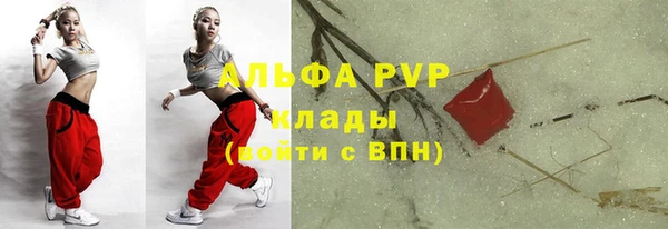 сатива Магадан