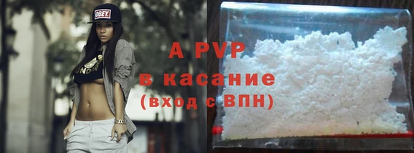 сатива Магадан