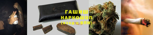 сатива Магадан