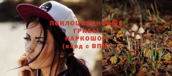 2c-b Магас
